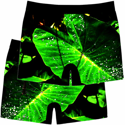 Spinnen-Natur-Print Herren-Boxershorts, Unterwäsche, Unterhose Geschenk für Ihn, Arachnid-Boxershorts, Nachtwäsche für Wildtierliebhaber, Insektenmuster