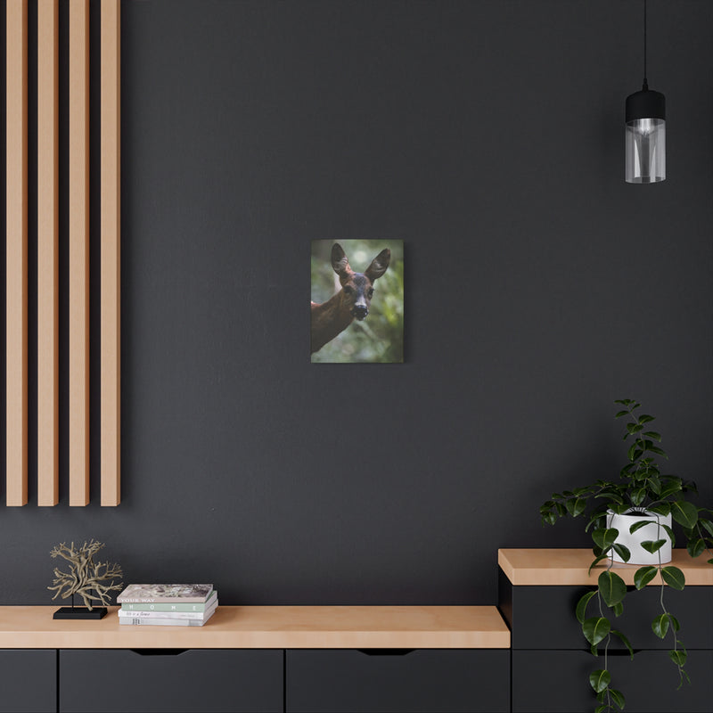 Contemplative 12″ x 16″ | 30.48 cm x 40.64 cm animal portrait wall art on a 1.25″ | 3.18 cm thick matte canvas print.