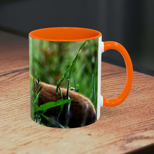 Fox-inspired accent coffee mug with vibrant colors and ceramic finish, ideal for nature lovers and wildlife decor.