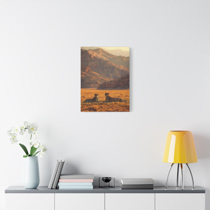 Cheetah Pair Desert Landscape Matte Canvas Print