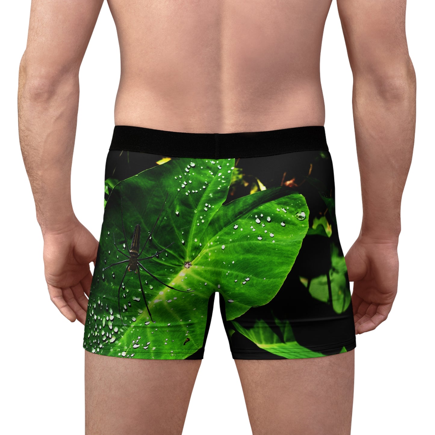 Spider Nature Print Heren Boxershorts, Ondergoed, Onderbroeken Cadeau voor Hem, Arachnid Boxers, Wildlife Lovers Nachtkleding, Insectenpatroon