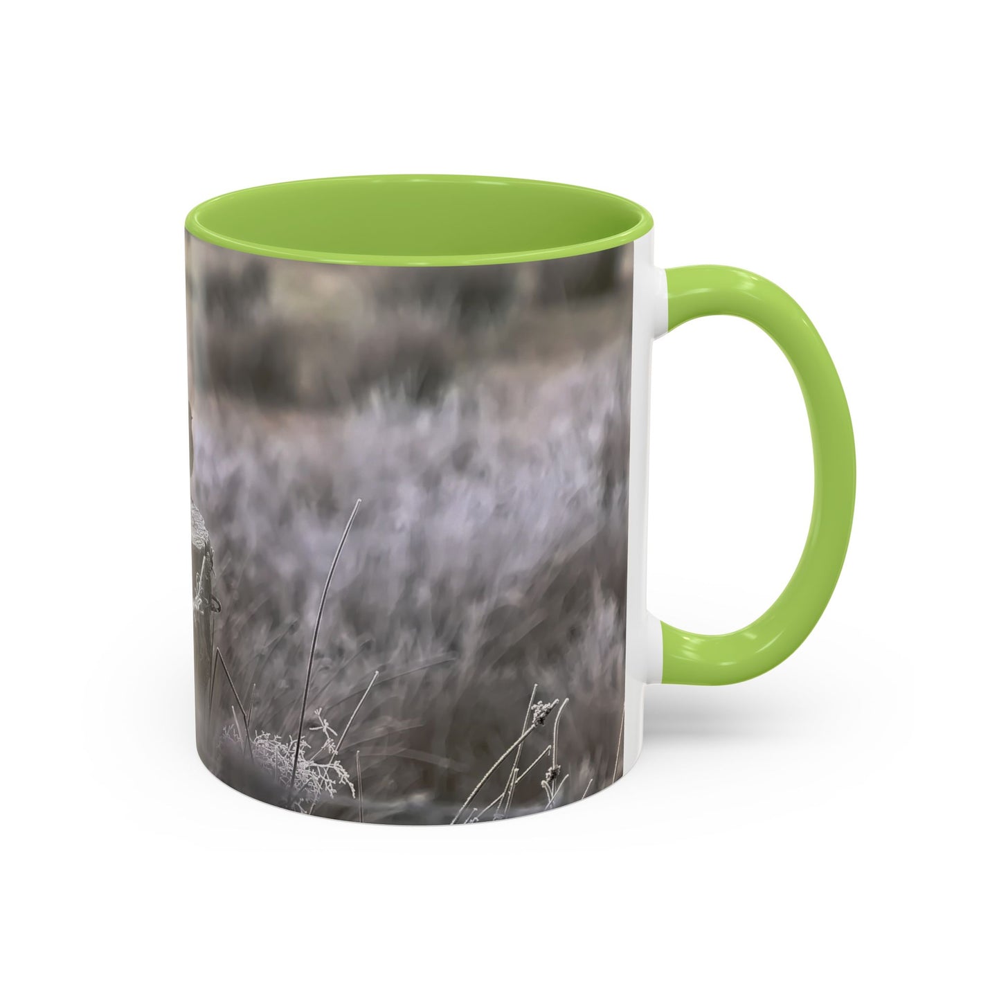 Robin bird photography mug 325ml featuring a light green interior.