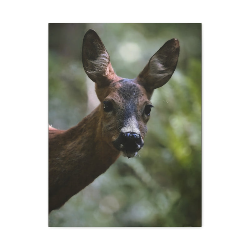 Deer Portrait Matte Canvas Print in 18″ x 24″ | 45.72 cm x 60.96 cm size with a stretched 1.25″ | 3.18 cm depth frame.