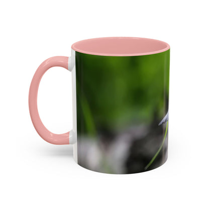 Bird Photography Accent Coffee Mug – Coal Tit Nature Photo Mug