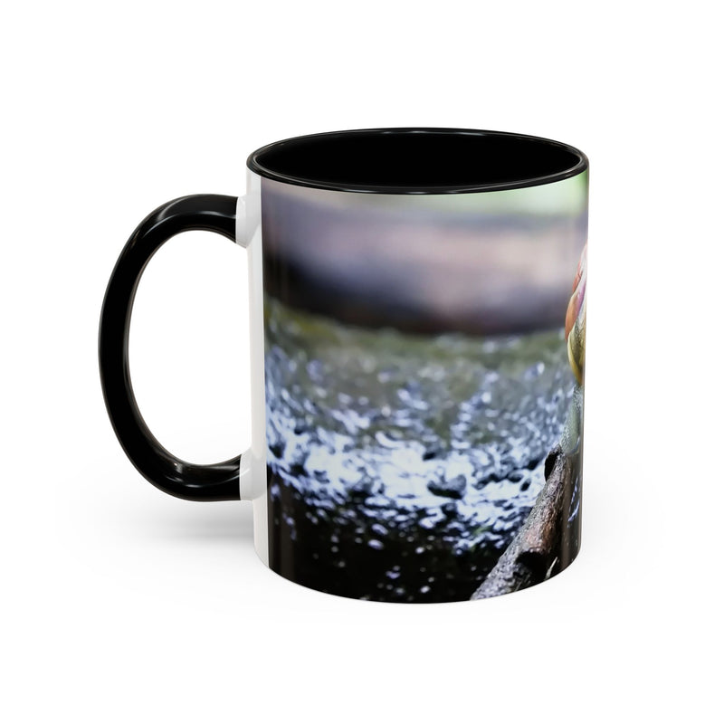 Hübsche Hausschnecken-Kaffeetasse
