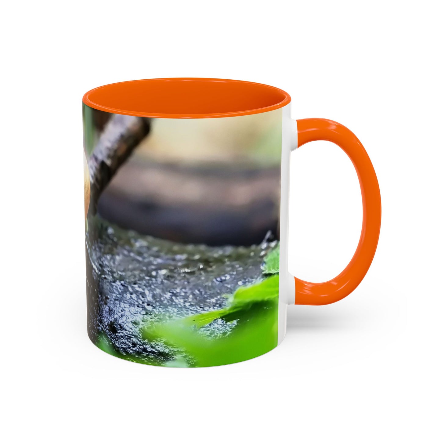 Pretty House Snail Coffee Mug