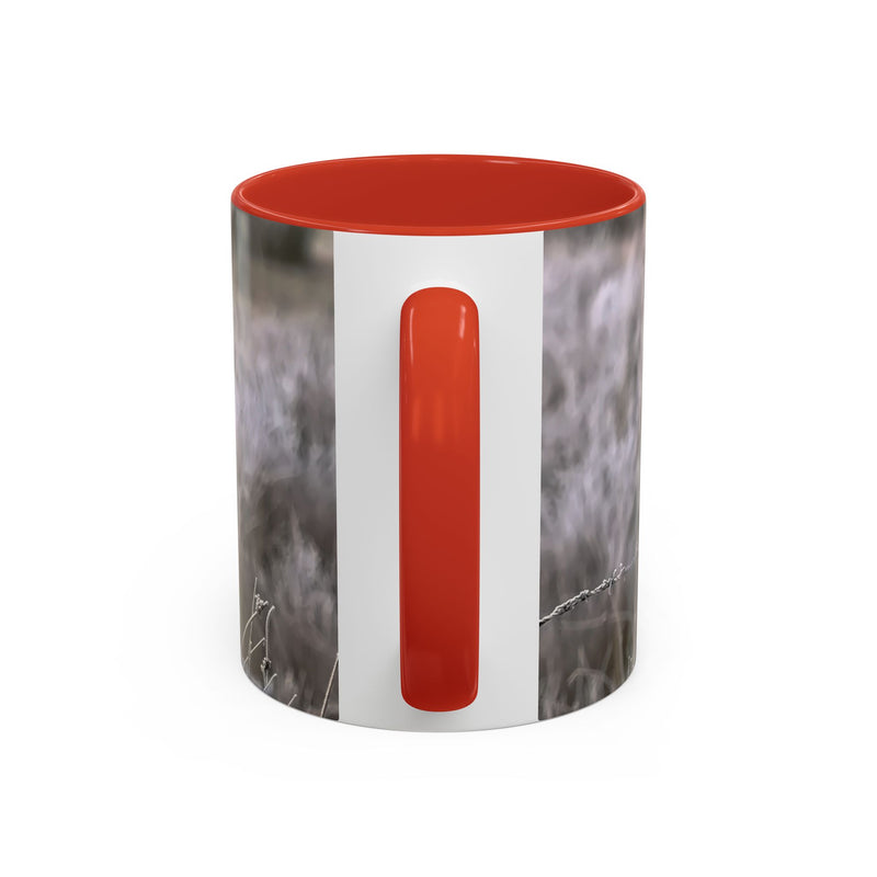 Nature photography gift: 11oz robin print mug with Red handle and interior.