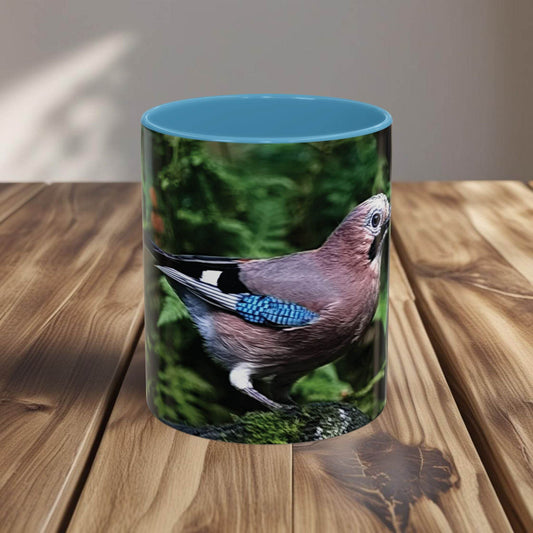 Mug - Colorful Jay, Bird Lover Coffee Mug - A Pretty Print