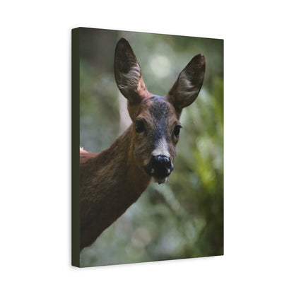 Deer Portrait Matte Canvas Print — Stretched Wall Art for Nature Lovers