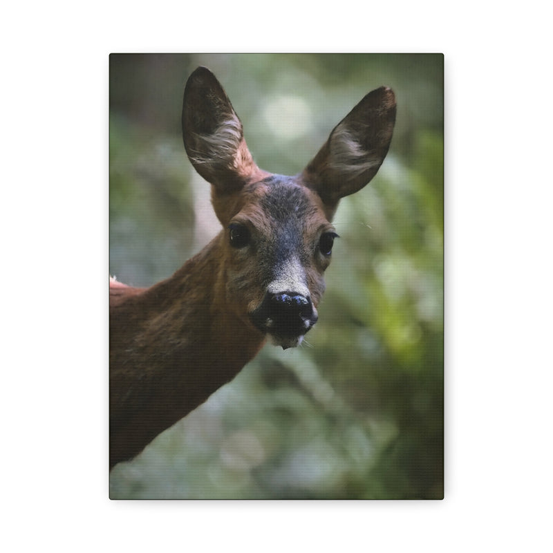 Deer Portrait Matte Canvas Print in 9″ x 12″ | 22.86 cm x 30.48 cm size with a stretched 1.25″ | 3.18 cm depth frame.