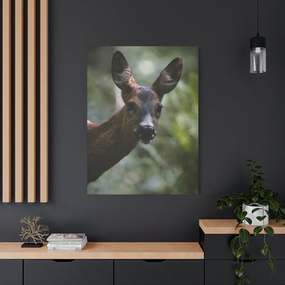 Deer Portrait Matte Canvas Print — Stretched Wall Art for Nature Lovers