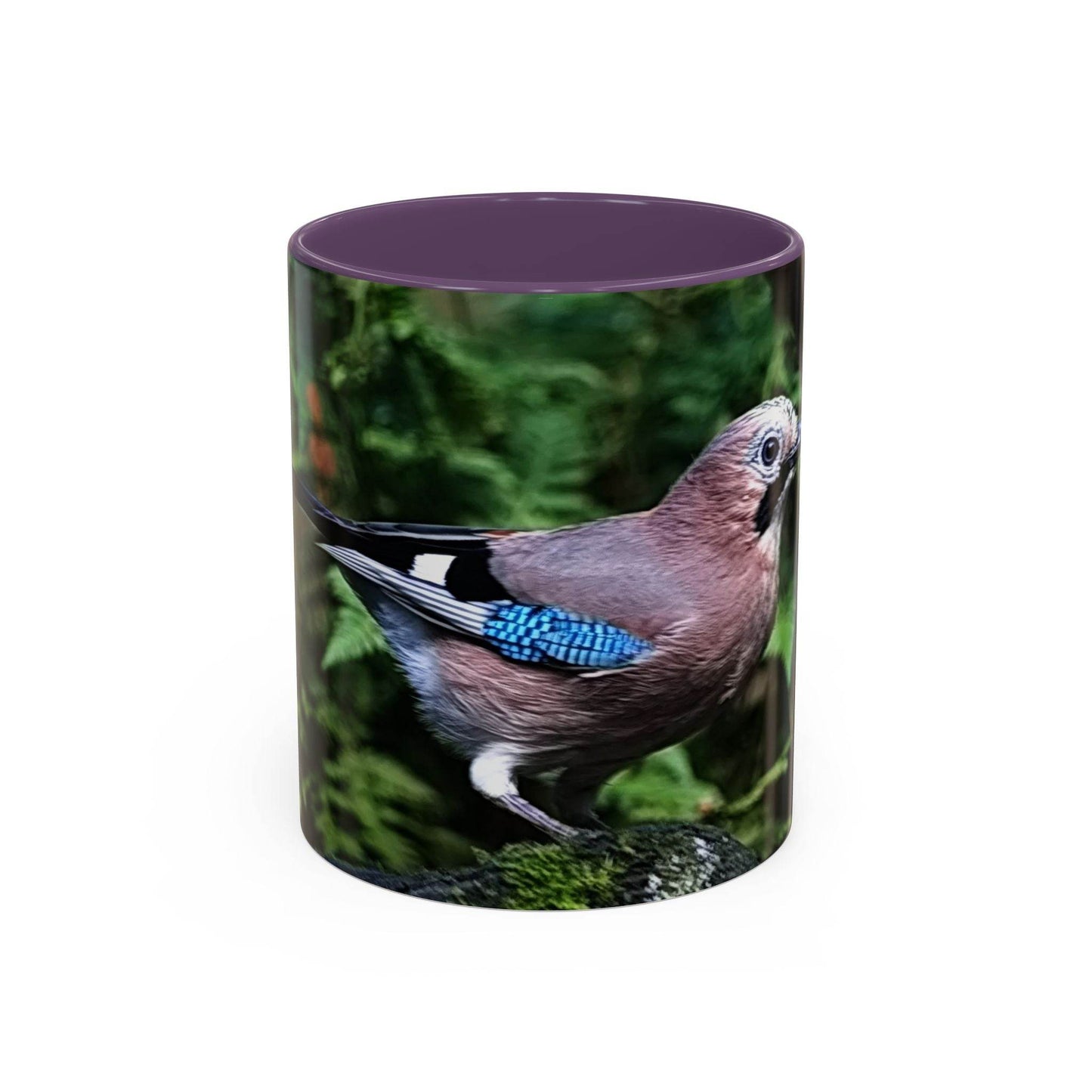 Mug - Colorful Jay, Bird Lover Coffee Mug