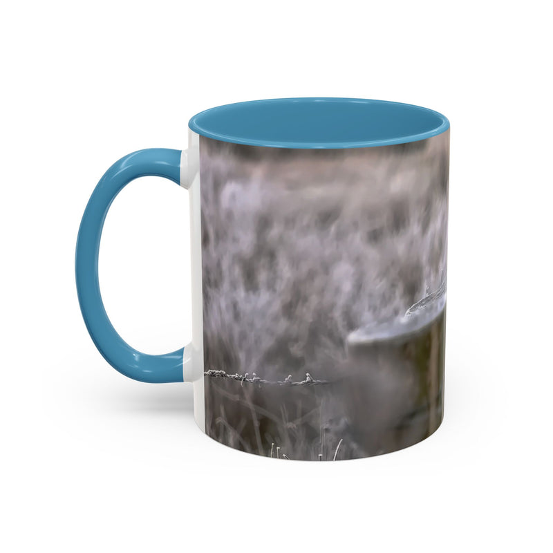 Rustic 11oz robin mug with a Light Blue handle and interior nature photography.