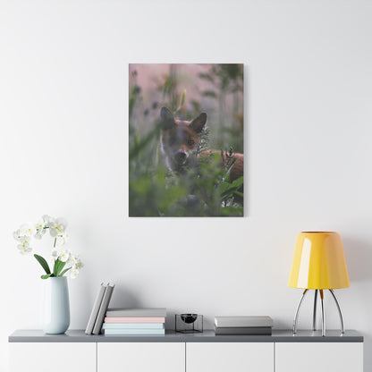 Vos in het wild, matte canvasprint — Natuur muurdecoratie, gespannen op een frame van 3,17 cm (1,25 inch)