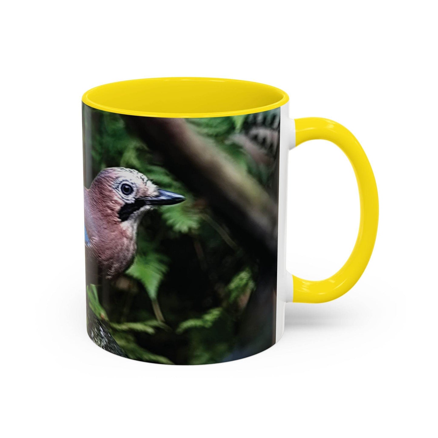 Mug - Colorful Jay, Bird Lover Coffee Mug