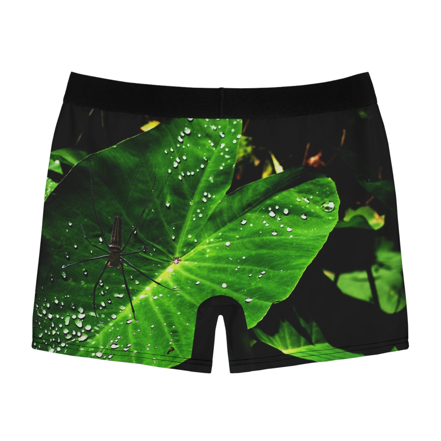 Spinnen-Natur-Print Herren-Boxershorts, Unterwäsche, Unterhose Geschenk für Ihn, Arachnid-Boxershorts, Nachtwäsche für Wildtierliebhaber, Insektenmuster