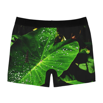 Spider Nature Print Heren Boxershorts, Ondergoed, Onderbroeken Cadeau voor Hem, Arachnid Boxers, Wildlife Lovers Nachtkleding, Insectenpatroon