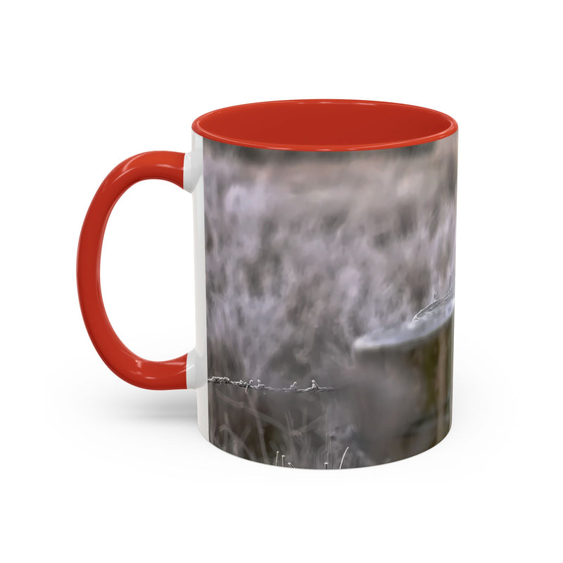 Rustic 11oz robin mug with a Red handle and interior nature photography.