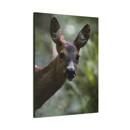 Deer Portrait Matte Canvas Print — Stretched Wall Art for Nature Lovers