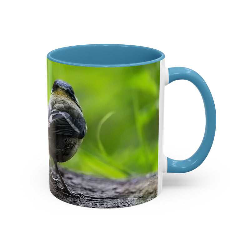 Premium 325ml coal tit nature photo mug featuring a light blue handle and light blue inside.