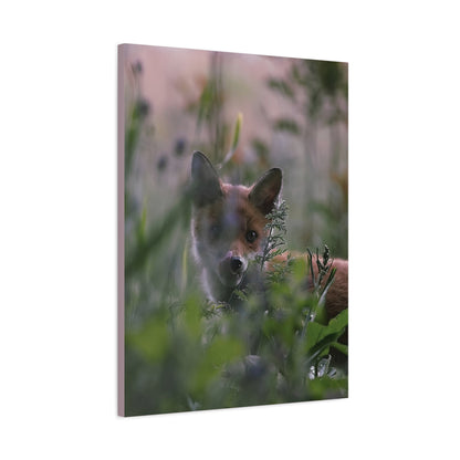 Vos in het wild, matte canvasprint — Natuur muurdecoratie, gespannen op een frame van 3,17 cm (1,25 inch)