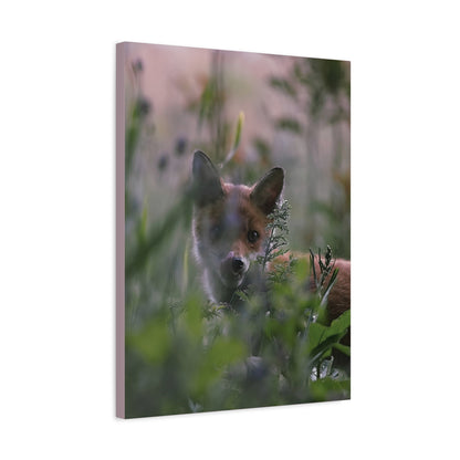 Vos in het wild, matte canvasprint — Natuur muurdecoratie, gespannen op een frame van 3,17 cm (1,25 inch)