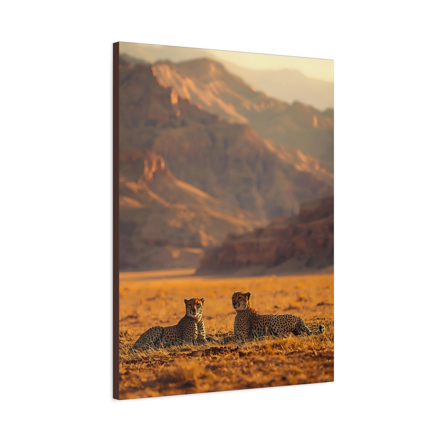 Cheetah Pair Desert Landscape Matte Canvas Print