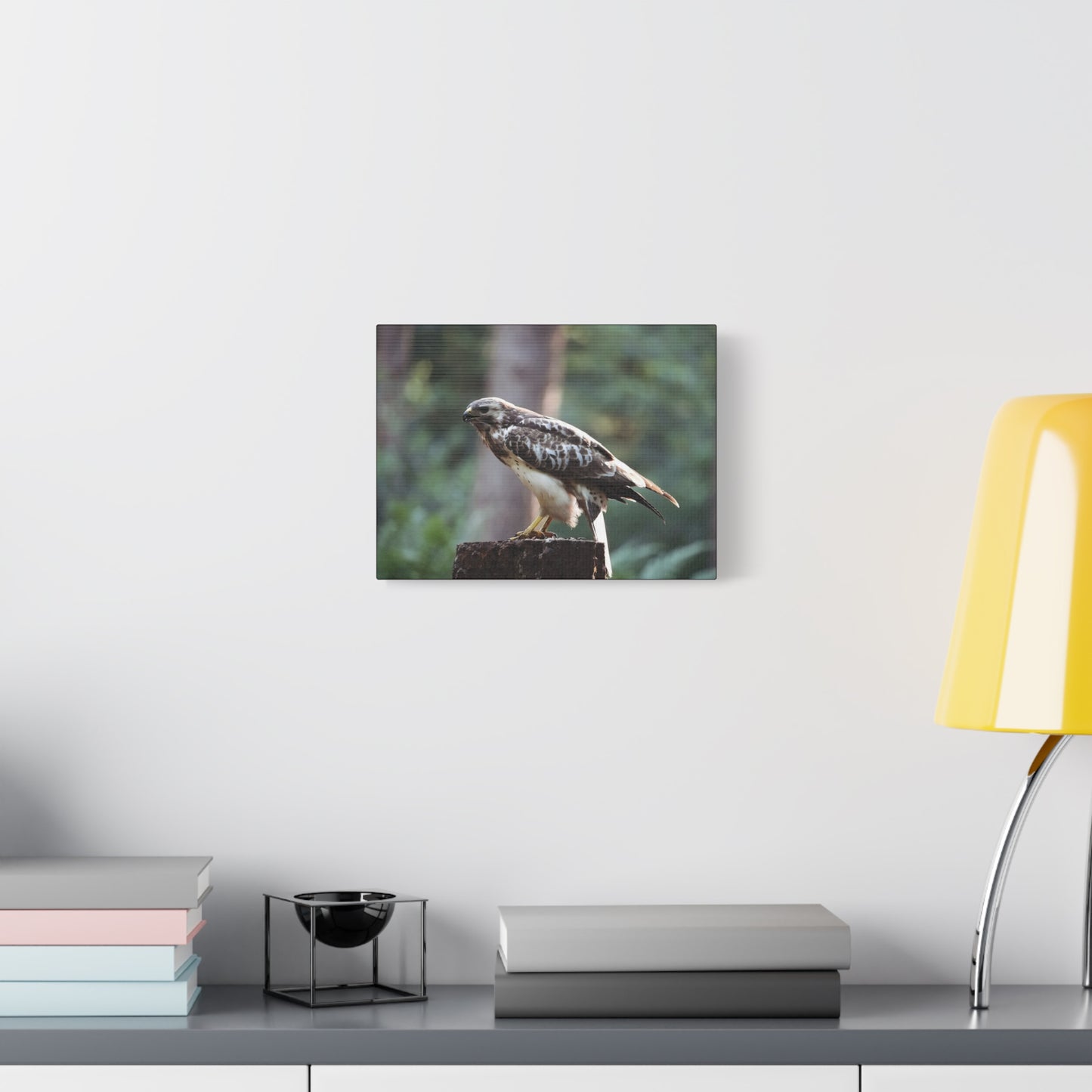 Muurdecoratie met een buizerd op mat canvas — Gespannen natuurfotoprint