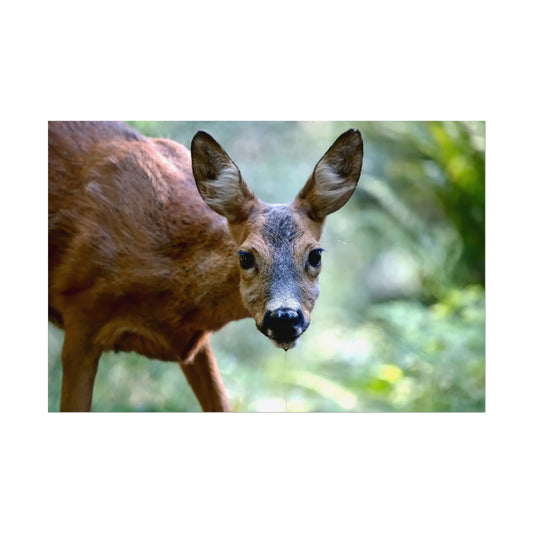 Nature-Inspired Rolled Poster featuring a curious Deer