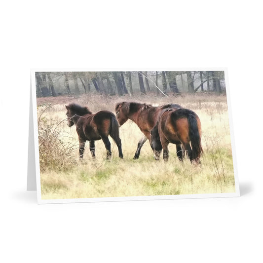 Exmoor ponies on greeting card, set of 7, wildlife nature stationery, blank notecards for all occasions.