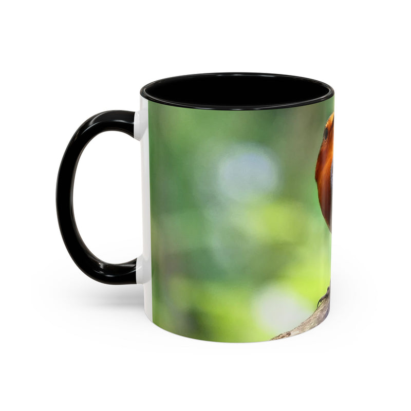 Stately Robin Ceramic Mug — Nature Bird Photography (11oz)
