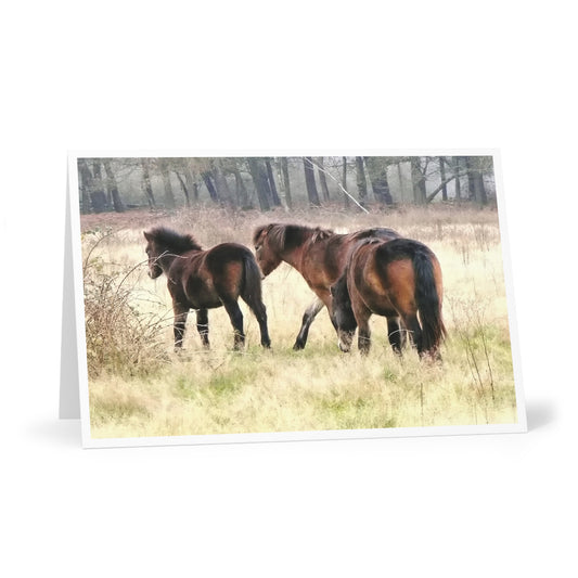 Greeting Cards, Exmoor Ponies Set of 7 with Envelopes - Wildlife Nature Stationery Pack, Blank Notecards for All Occasions, Artistic Horse