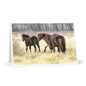 Wenskaarten, Exmoor Ponies Set van 7 met enveloppen - Wildlife Nature Stationery Pack, blanco notitiekaarten voor alle gelegenheden, artistiek paard