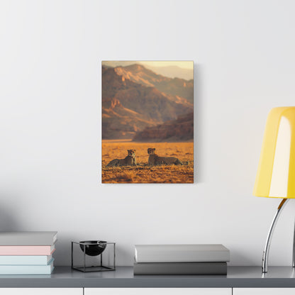 Cheetah Pair Desert Landscape Matte Canvas Print