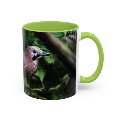 Mug - Colorful Jay, Bird Lover Coffee Mug
