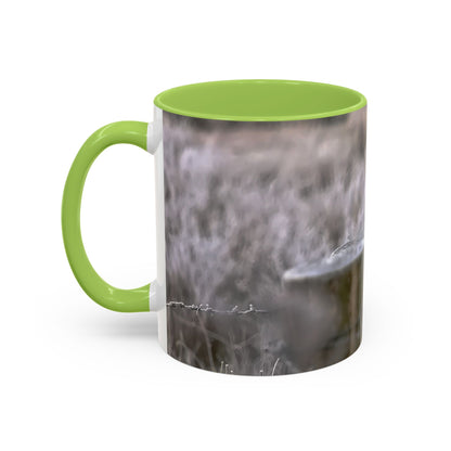 Rustic Robin Accent Coffee Mug — Nature Bird Photography