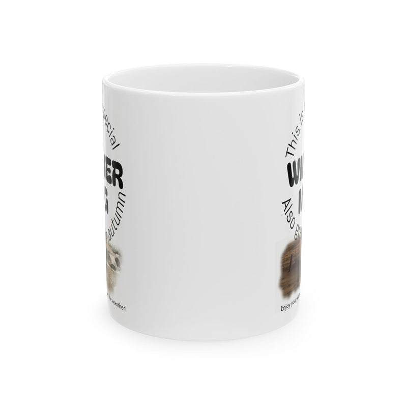 Glossy 11oz Summer | Winter Mug, Ceramic Coffee Mug near a sunlit room window during a relaxed coffee break.