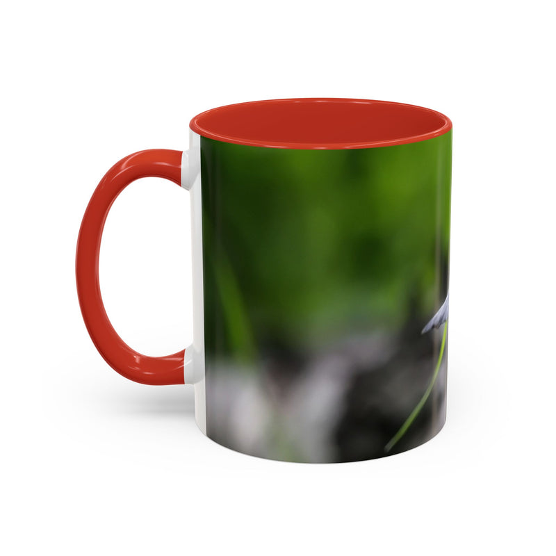 325ml nature-inspired bird photography coffee mug with a red handle and red inside.