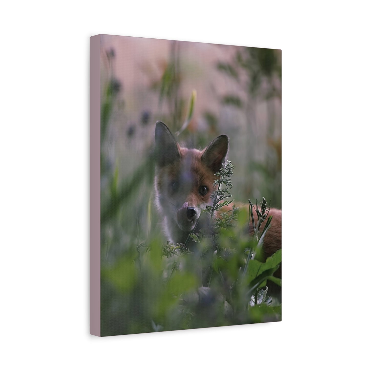 Vos in het wild, matte canvasprint — Natuur muurdecoratie, gespannen op een frame van 3,17 cm (1,25 inch)