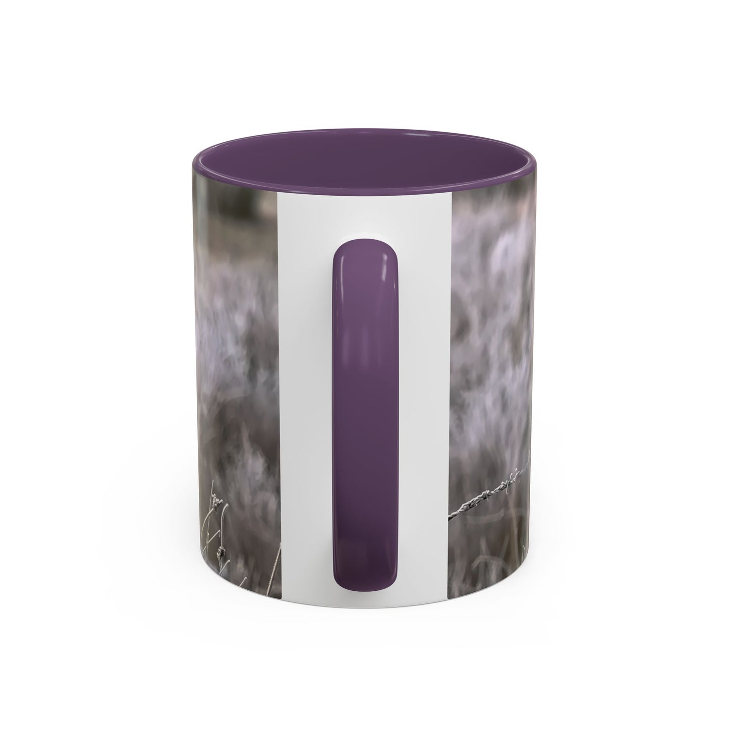 Rustic Robin Accent Coffee Mug — Nature Bird Photography