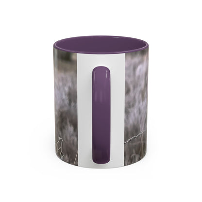 Rustic Robin Accent Coffee Mug — Nature Bird Photography