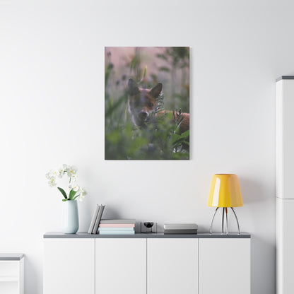 Vos in het wild, matte canvasprint — Natuur muurdecoratie, gespannen op een frame van 3,17 cm (1,25 inch)