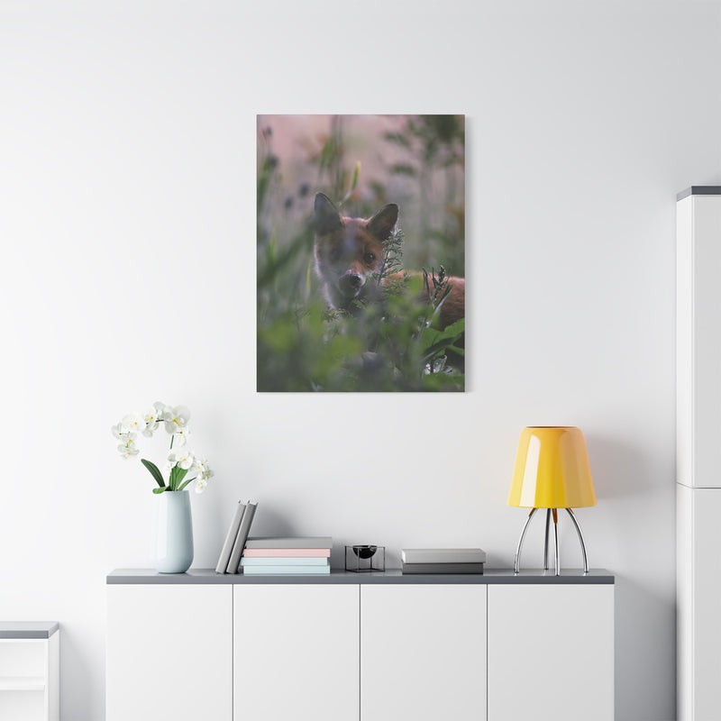 Premium 30″ x 40″ | 76.20 cm x 101.60 cm wildlife photography print on a 1.25″ | 3.18 cm stretched matte canvas.