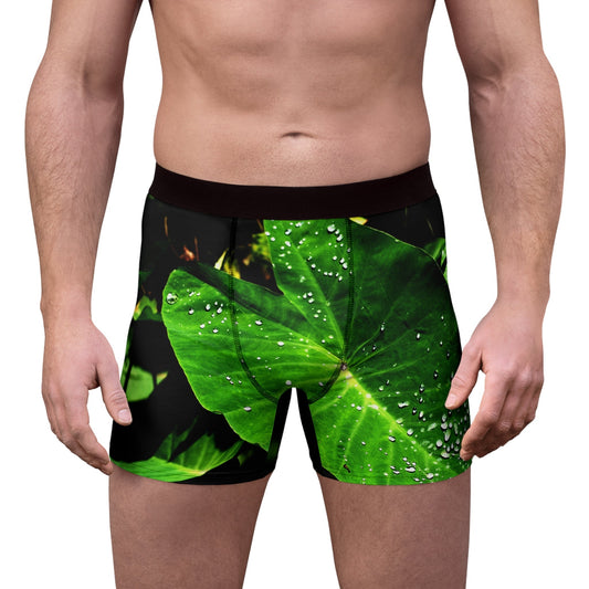 Men's boxer briefs with spider nature print and leaf design.