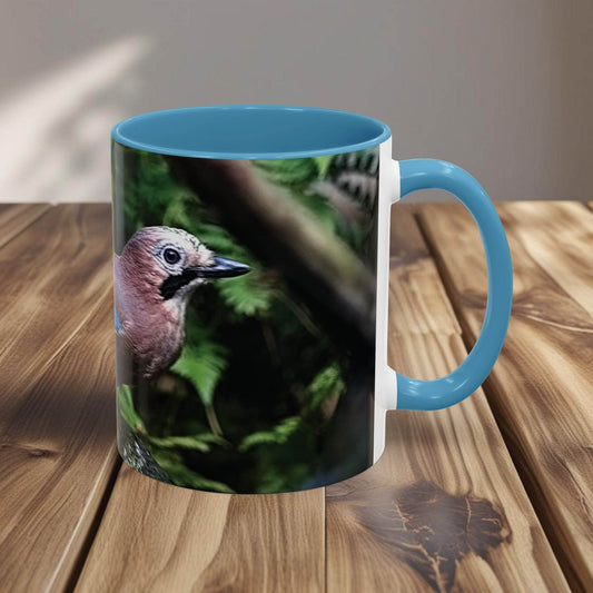 Mug - Colorful Jay, Bird Lover Coffee Mug - A Pretty Print