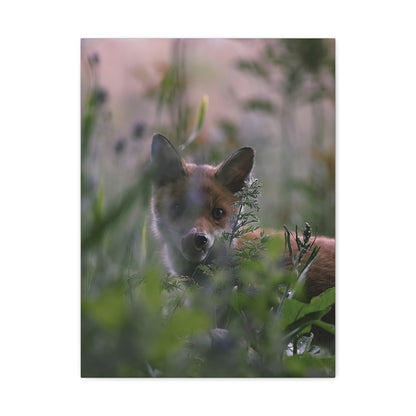 Vos in het wild, matte canvasprint — Natuur muurdecoratie, gespannen op een frame van 3,17 cm (1,25 inch)