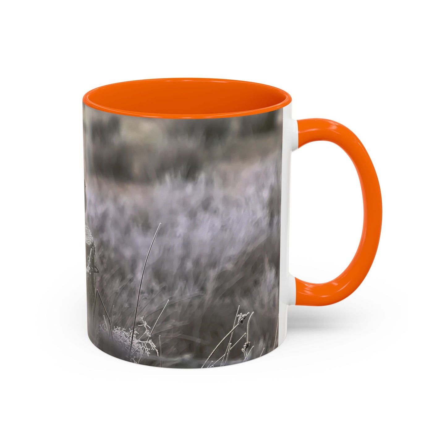 Robin nature print on an 11oz mug with an Orange handle and interior.