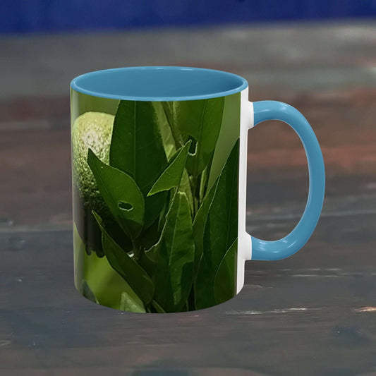 Vibrant fruit coffee mug with a glossy finish and C-shaped handle.