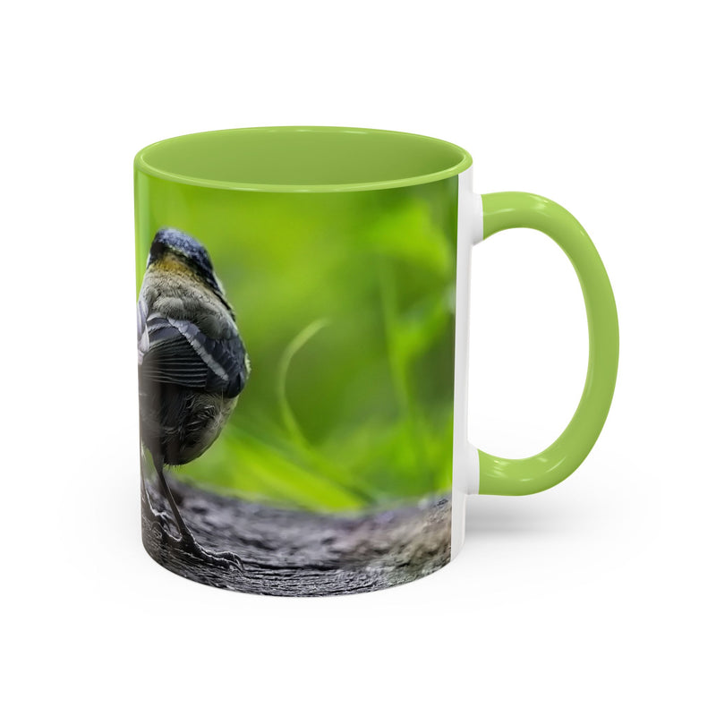 Premium 325ml coal tit nature photo mug featuring a light green handle and light green inside.