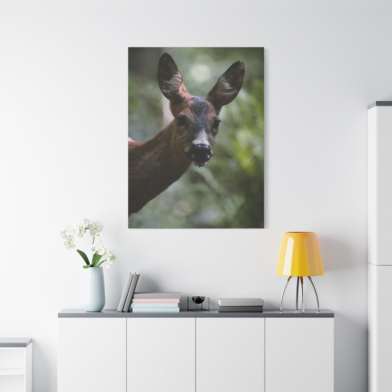 Premium 36″ x 48″ | 91.44 cm x 121.92 cm textured wildlife canvas print on a modern 1.25″ | 3.18 cm wood gallery inner frame.